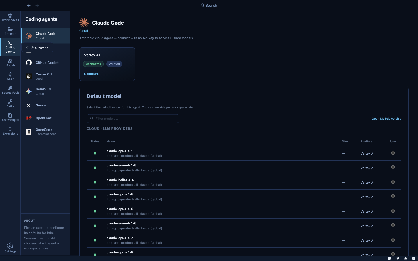 Coding Agents settings